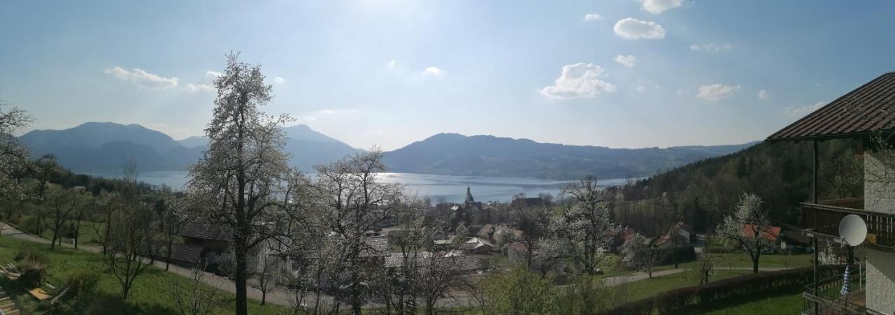 Attersee-Chalet Angermann Familie Spalt Steinbach am Attersee Esterno foto