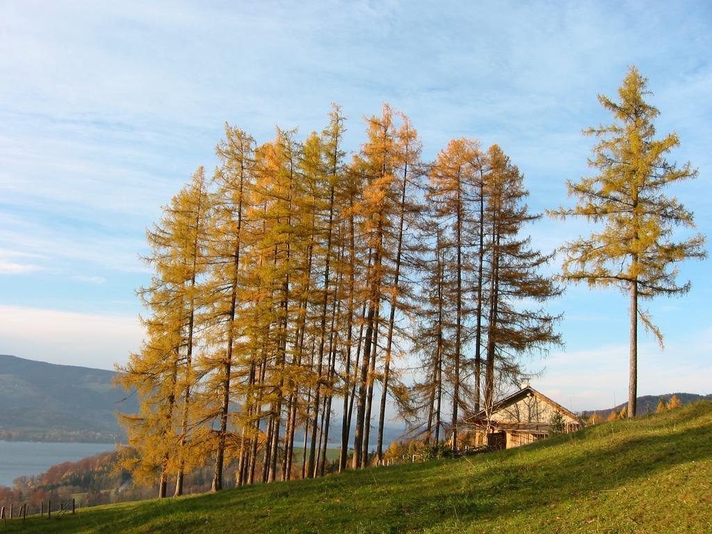 Attersee-Chalet Angermann Familie Spalt Steinbach am Attersee Esterno foto